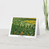 Carte Fleurs de printemps (Dos)