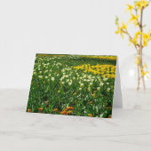 Carte Fleurs de printemps (Fleur jaune)