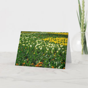 Carte Fleurs de printemps