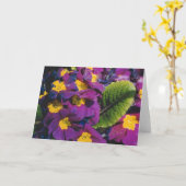 Carte Fleurs de printemps (Fleur jaune)