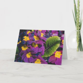 Carte Fleurs de printemps