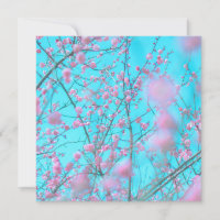 Fleurs de prunes (Suzhou, Chine)