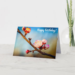 Carte Fleurs de Prunus mume et ciel bleu clair