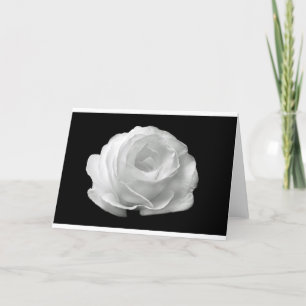 Carte Fleurs de Rosée Blanche Jardin Fleurs Paix Amour A