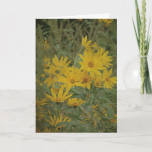 Carte Fleurs de soleil, Anniversaire