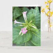 Carte Fleurs de tabac (Fleur jaune)
