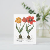 Carte Fleurs de tulipe printanière vintages par Basilius (Debout devant)