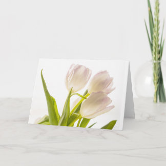 Carte Fleurs de Tulipes Blanches Toutes Occasions