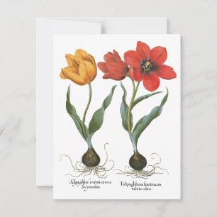 Carte Fleurs de tulipes printanières vintage par Basiliu