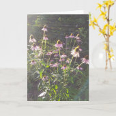 Carte Fleurs d'échinacée au soleil (Fleur jaune)
