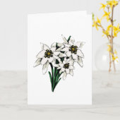 Carte Fleurs d'edelweiss (Fleur jaune)