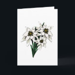 Carte Fleurs d'edelweiss<br><div class="desc">Belle illustration graphique de la belle fleur alpine,  edelweiss.  Customisez ceci pour faire un grand cadeau pour n'importe quelle occasion.</div>