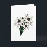 Carte Fleurs d'edelweiss<br><div class="desc">Belle illustration graphique de la belle fleur alpine,  edelweiss.  Customisez ceci pour faire un grand cadeau pour n'importe quelle occasion.</div>