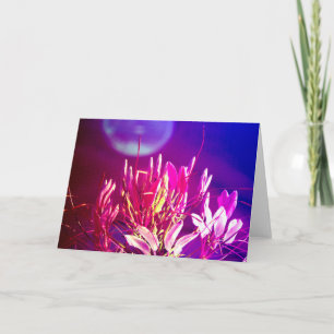 Carte Fleurs d'été