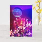 Carte Fleurs d'été (Fleur jaune)