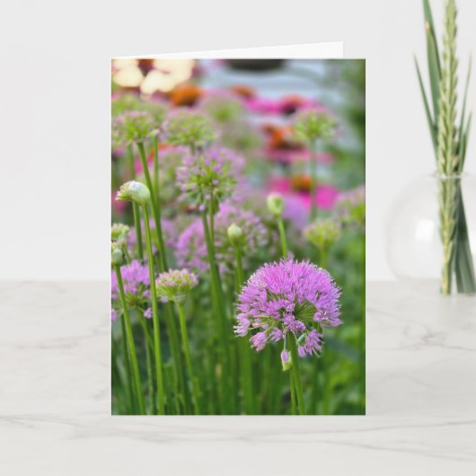 Carte Fleurs d'été (Devant)