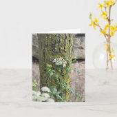 Carte Fleurs d'été (Fleur jaune)