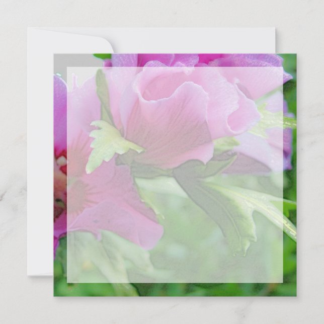 Carte Fleurs d'hisbiscus violettes (Devant)
