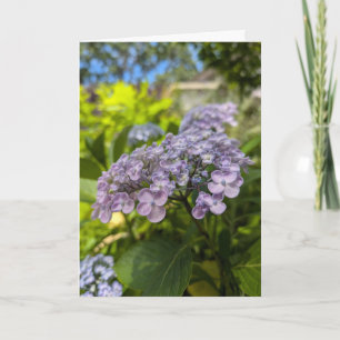 Carte Fleurs d'hortensia lavande