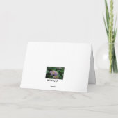 Carte Fleurs d'Hydrangée rose et blanche avec sympathie (Dos)