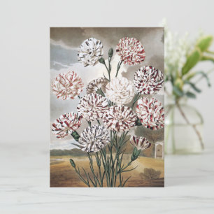 Carte Fleurs d'œillet panachées vintage avec ciel gris