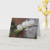 Carte Fleurs d'orchidée (Fleur jaune)