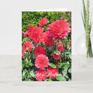 CARTE FLEURS DU JARDIN DE PAYS