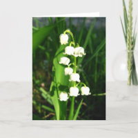 Fleurs du muguet
