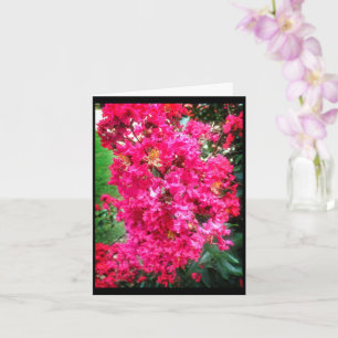 Carte Fleurs éclatantes roses - Vœux d'anniversaire