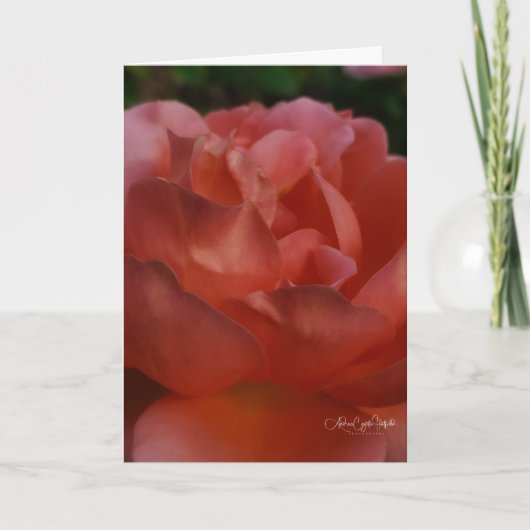Carte Fleurs en Gros Plan (Devant)