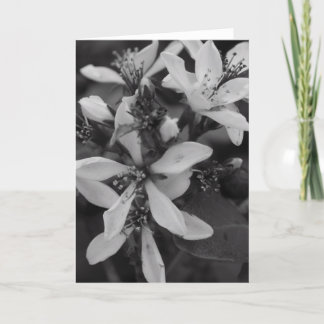 Carte Fleurs en noir et blanc