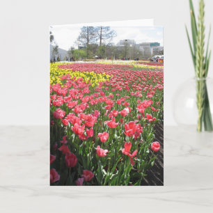 Carte fleurs, en pensant à toi