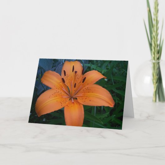 Carte Fleurs et Plantes (Devant)