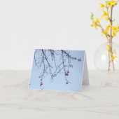 Carte Fleurs Féroces (Fleur jaune)