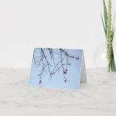 Carte Fleurs Féroces (Devant)