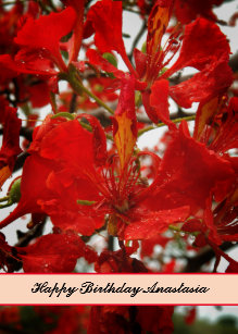 Cartes Tropical D Anniversaire Zazzle Be Cartes Tropical D Anniversaire Zazzle Be