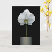 Carte Fleurs | Fleur d'orchidées blanches (Fleur jaune)