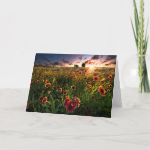 Carte Fleurs   Fleur sauvage indien Texas