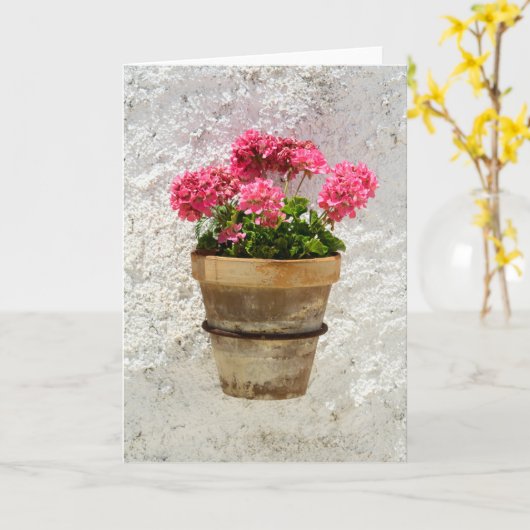 Carte Fleurs | Géranium en fleur en pot (Fleur jaune)