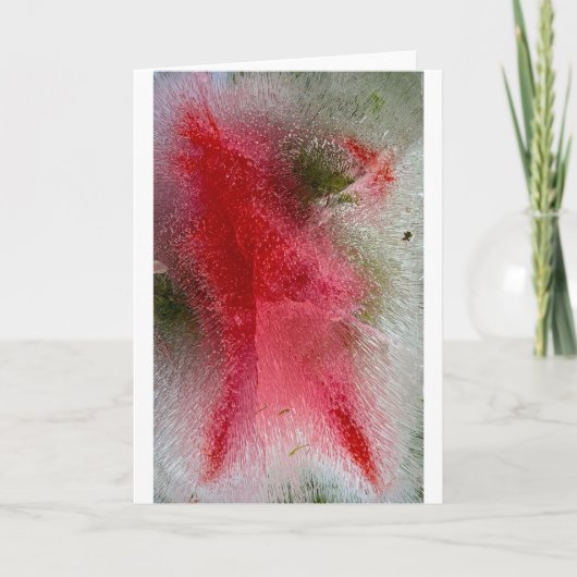 Carte Fleurs glacées, (Devant)