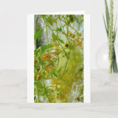 Carte Fleurs glacées, (Devant)