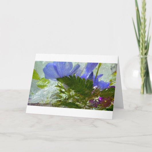 Carte Fleurs glacées, (Devant)