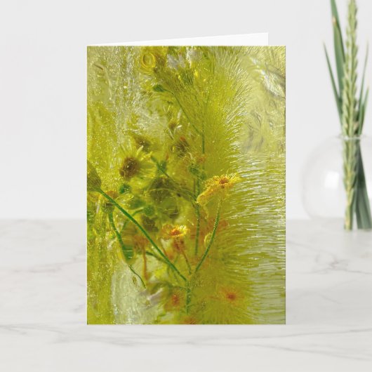 Carte Fleurs glacées, (Devant)