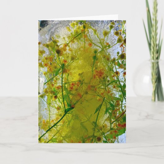 Carte Fleurs glacées, (Devant)