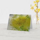 Carte Fleurs glacées, (Fleur jaune)
