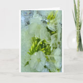 Carte Fleurs glacées, (Devant)