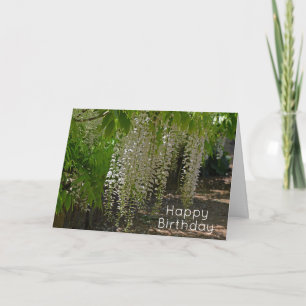 Carte Fleurs Jardin Blanche Wisteria Joyeux Anniversaire