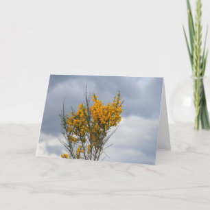 Carte fleurs jaunes