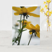 Carte Fleurs jaunes Bidens Ne pas détourner GC (Fleur jaune)