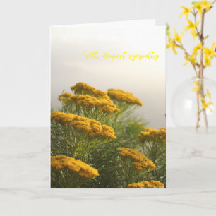 Carte Fleurs jaunes sauvages Afrique du Sud temps brumeu